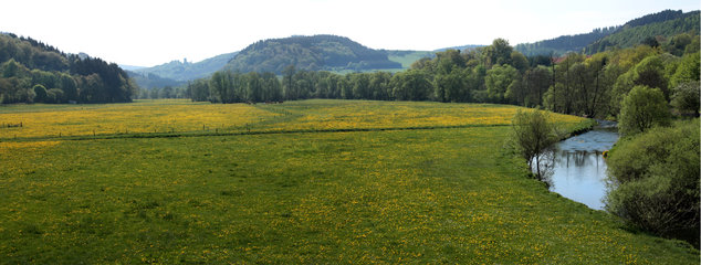 Auf dem Eifelsteig im Kylltal, südlich von Hillesheim, Panoramabild