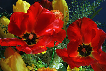 Blumenstrauß mit roten Tulpen von Ulrike Hager  für den Monat April