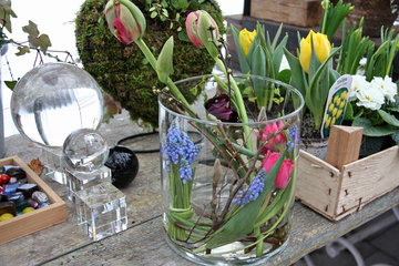 Blumenstrauß mit Tulpen und Traubenhyazinthen für den Monat Februar