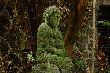 Buddha im Hortus Dialogus