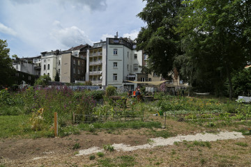 Der Gemeinschaftsgarten HirschGrün in Aachen