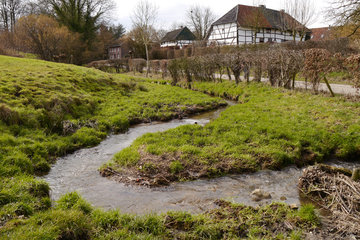 Der Terzieterbeek bei Terziet in Südlimburg