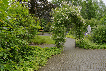 Duftender Rosenbogen im "Garten der Sinne", Vinzenz-Heim in Aachen
