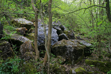 Felsbrocken in einem Steinbruch bei Walheim
