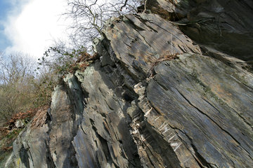 Felsen aus Schiefergestein beim Obersee, Rureifel