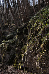 Felswand im Göhltal am Emmaburger Weg, zwischen Hergenrath und Kelmis