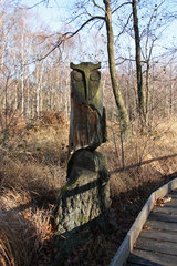 Geschnitzte Eule im Todtenbruch bei Hürtgenwald