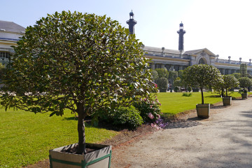 Park bei den Königlichen Gewächshäusern (Laeken bei Brüssel)