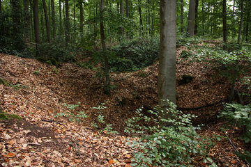 Pingen - ein Bodendenkmal bei Golbach