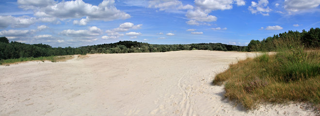Sandgebiet in der Brunssummerheide