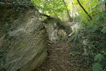 Spuren des historischen Mergelabbaus auf dem  Plateau von Caestert, bei Maastricht