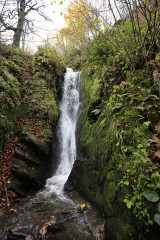 Wasserfall bei Burg Reinhardstein im Tal der Warche