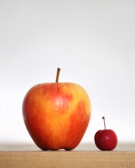 Apfel in normaler Größe und roter Zierapfel