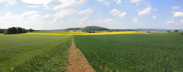 Auf dem Eifelsteig vom Wolfsbeuel zum Rother Kopf, Panoramabild
