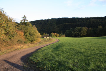 Auf dem Lieserpfad / Eifelsteig nördlich von Manderscheid