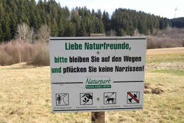 Auf dem Narzissenrundweg im Perlenbach- und Fuhrtsbachtal