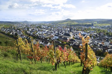 Auf dem Rotweinwanderweg bei Ahrweiler