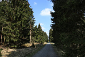 Auf der "Narzissen-Route"  zwischen Perlenbach- Fuhrtsbachtal
