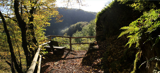 Aussichtspunkt auf dem Lieserpfad / Eifelsteig, südlich von Manderscheid