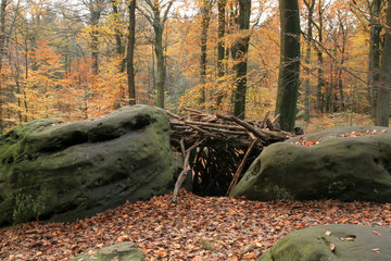 Bei den Zyklopensteinen im Aachener Wald