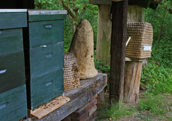 Bienenstöcke im Kasteeltuin Oud-Valkenburg