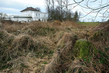 Biotop Westwall bei Herzogenrath-Klinkheide