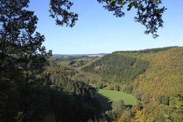 Blick auf das Liesertal vom Eifelsteig,zwischen Manderscheid und Himmerod