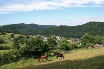 Blick auf Einruhr am Obersee, Eifel
