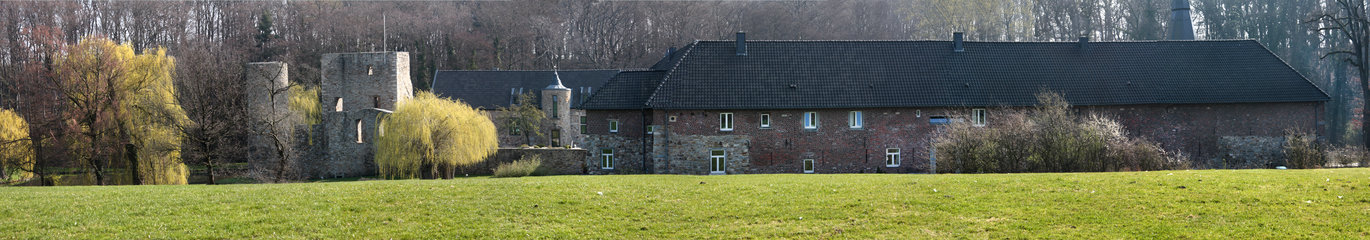 Blick vom Heyder Feldweg auf Haus Heyden mit der Ruine der Wasserburg