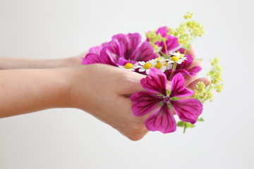 Blumen mit Händen