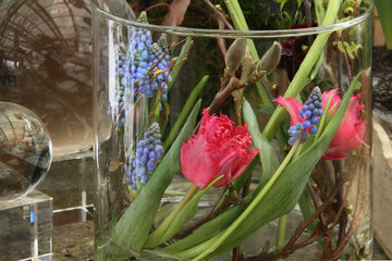 Blumenstrauß mit Tulpen und Traubenhyazinthen für den Monat Februar