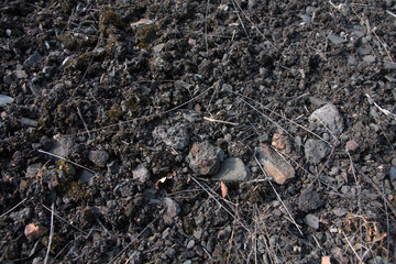 Boden einer Galmeihalde bei Plombières
