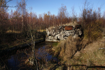 Bunkerruine im Todtenbruch bei Hürtgenwald