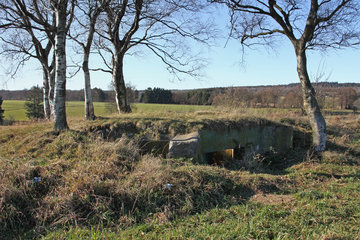 Bunkerruine zwischen Simmerath und Konzen 