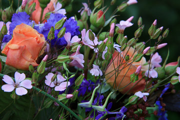 Bunter Blumenstrauß für den Monat Juni