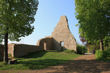 Burg Gerolstein (Burg Gerhardstein, Löwenburg) in Gerolstein