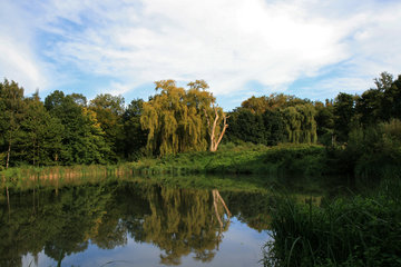 Cranenweyer im Park Gravenrode