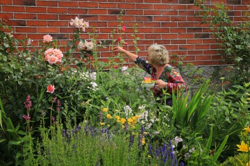 Dagmar Peters-Groth im Vorgarten