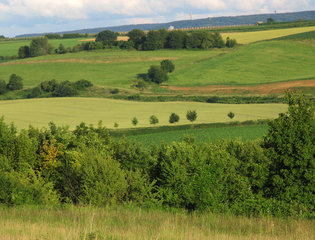 Das Hügelland ( Heuvelland ) bei Eys