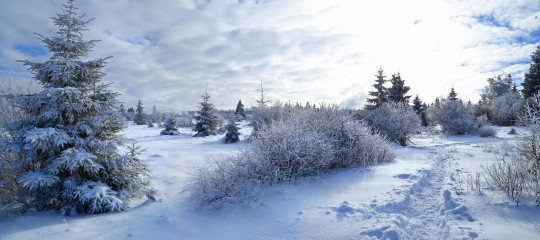 Das nördliche Brackvenn im Winter