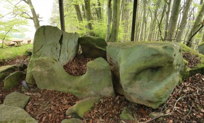 Das Steinkistengrab bei Schankweiler