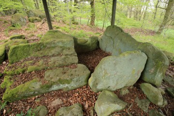Das Steinkistengrab bei Schankweiler