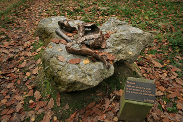 Denkmal bei einem Hügelgrab im Vijlenerbos