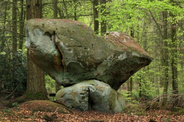 Der Bärenstein auf dem Ferschweiler Plateau in der Südeifel