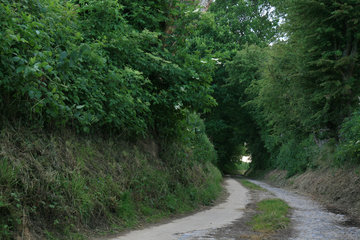 Der Bocholtzer Weg, ein alter Hohlweg bei Horbach