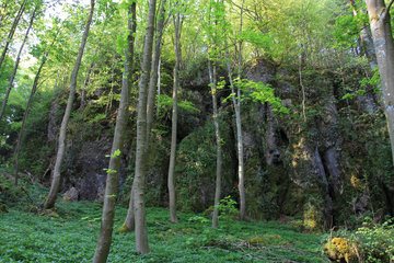 Der Heiligenstein südöstlich von Gerolstein in der Vukaneifel