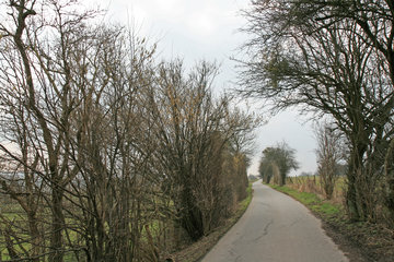 Der Herzogsweg, westlich von Aachen-Laurensberg