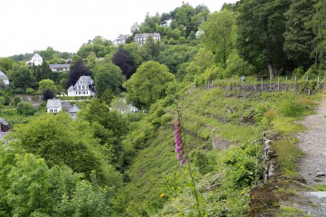 Der Rahmenberg, auf dem Panoramaweg von Monschau