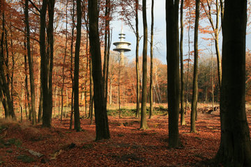 Der Sendeturm "Mulleklenkes", südwestlich von Aachen
