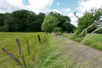 Der Weiße Weg, Buschweg bei Herzogenrath - Berensberg